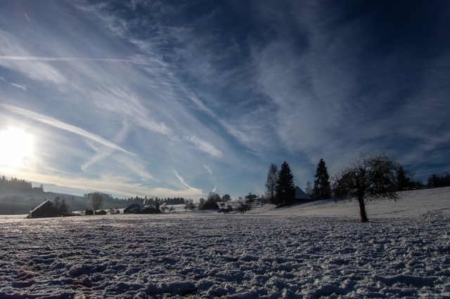 DSC03620Karneval 015022015